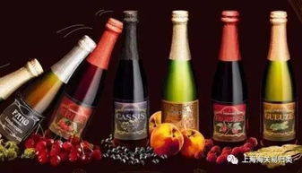 红酒知识讲座 探索酒精饮料的优雅世界